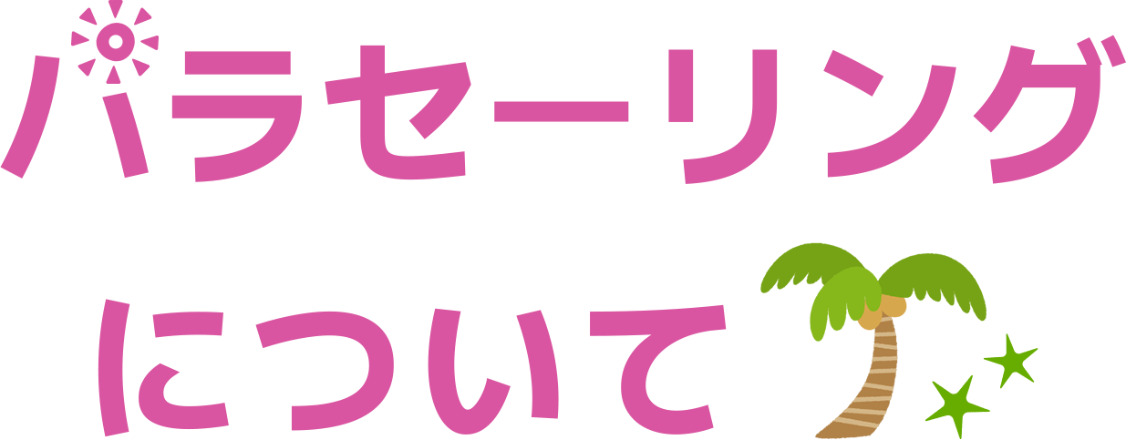 パラセーリングについて